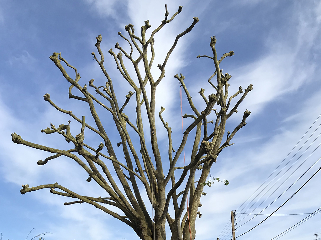 Réalisations - Côté Jardin