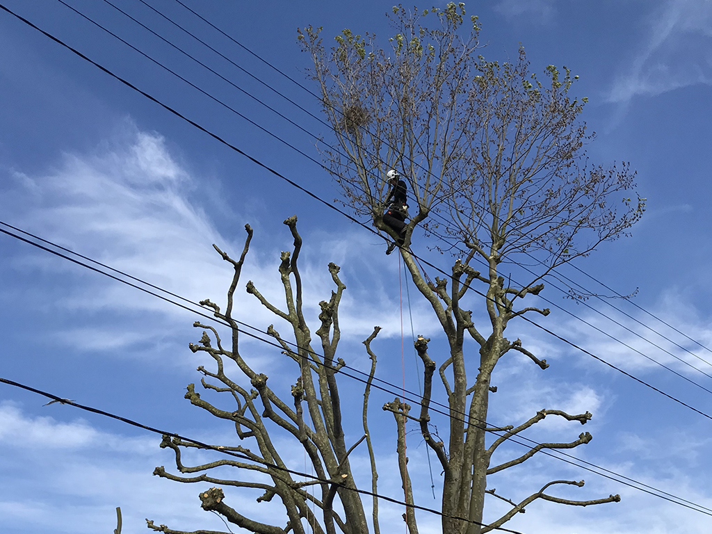 Réalisations - Côté Jardin